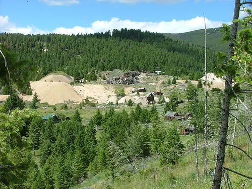 Elkhorn